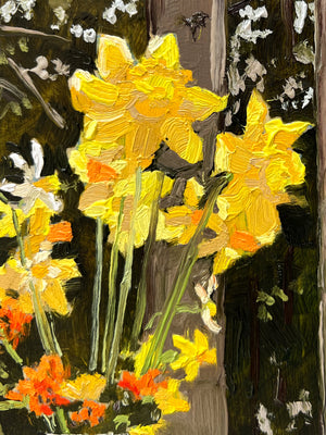 Daffodils Outside