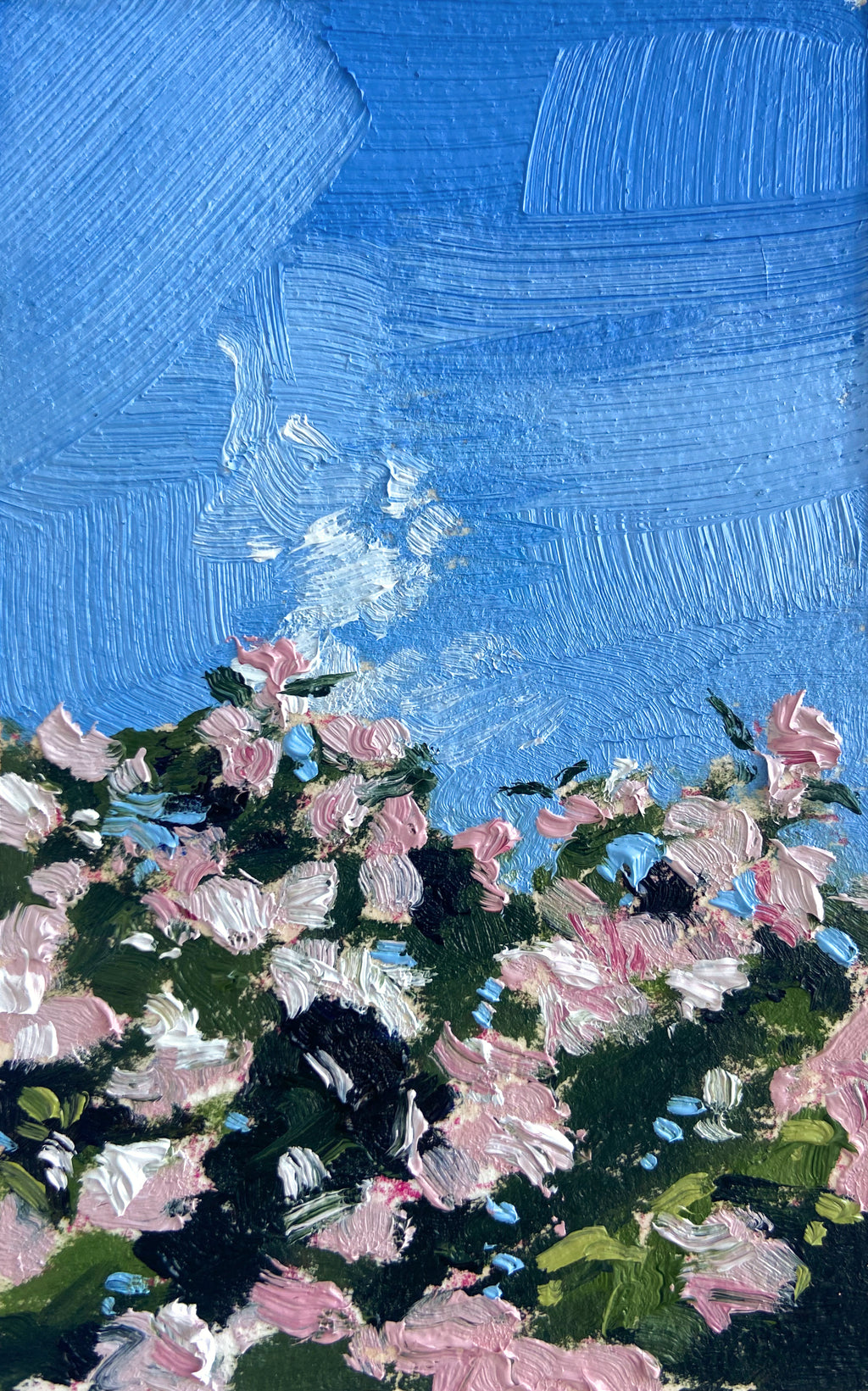 Flowers by False Creek