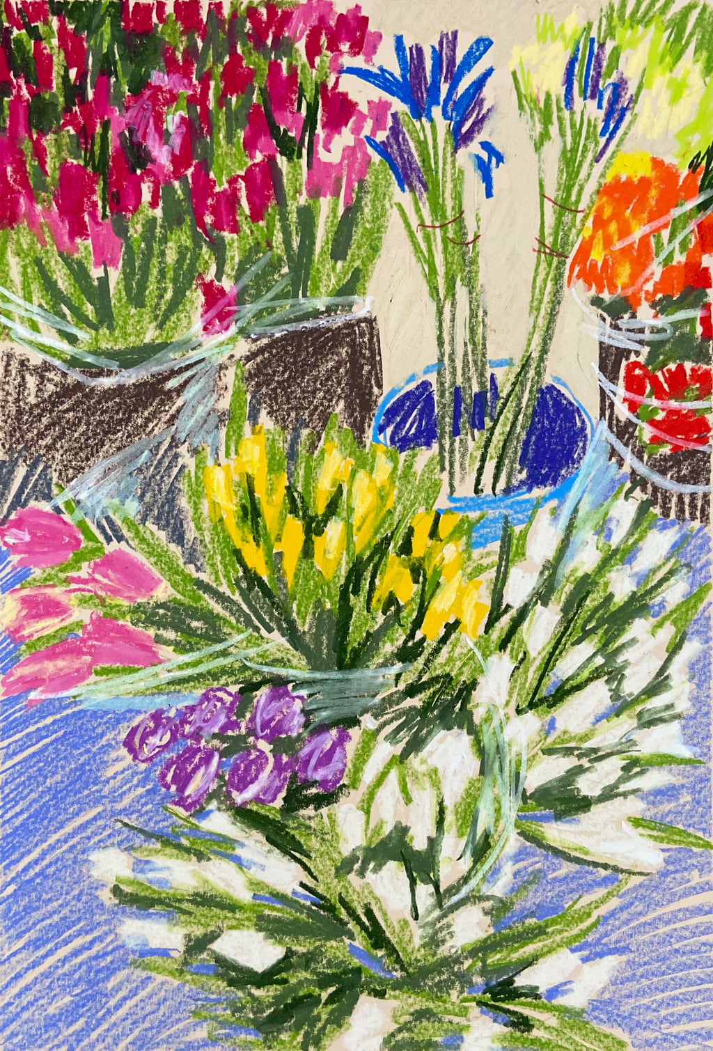 Tulips and Irises