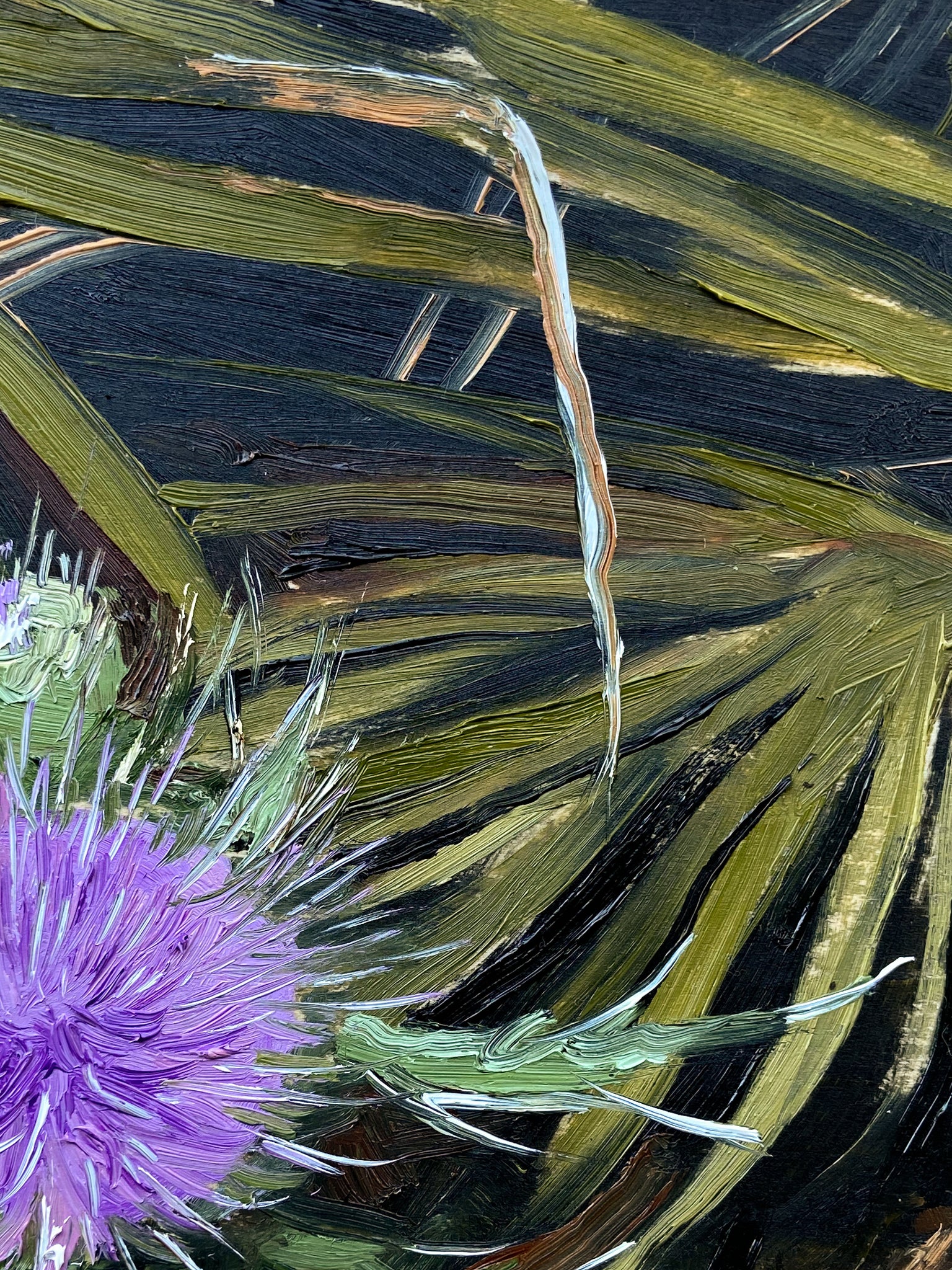 Thistle