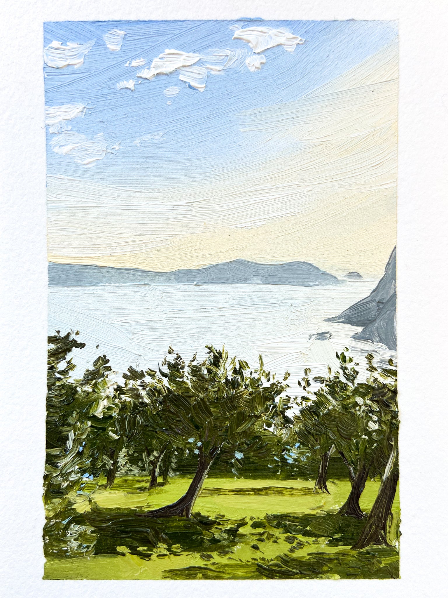 Olive Grove (Morning)